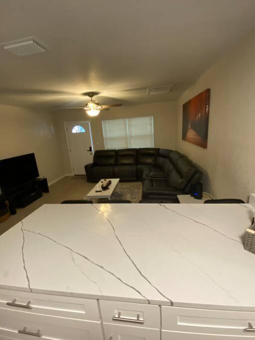 Minutes To Fairgrounds, Hard Rock, & Busch Gardens Villa Tampa Exteriör bild
